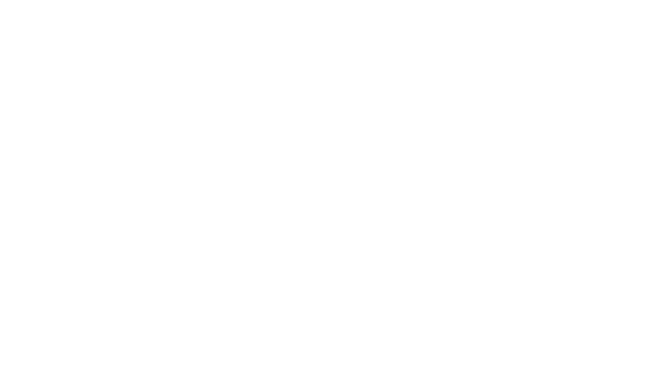 Deniz Nakliyat Logo